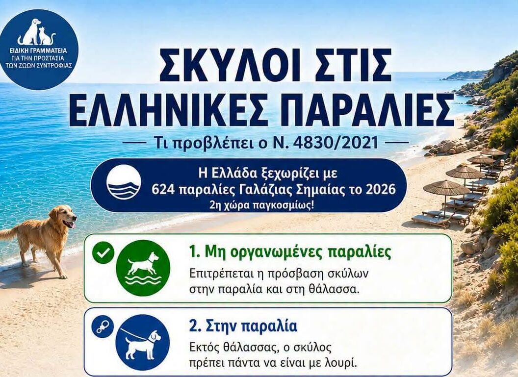 ΠΟΥ (ΔΕΝ) ΕΠΙΤΡΕΠΟΝΤΑΙ ΣΚΥΛΟΙ ΣΤΙΣ ΠΑΡΑΛΙΕΣ